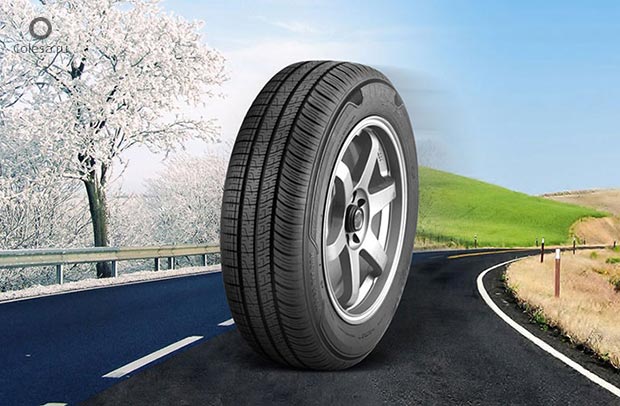 All-Season Tires: Key Features, Differences, and Benefits